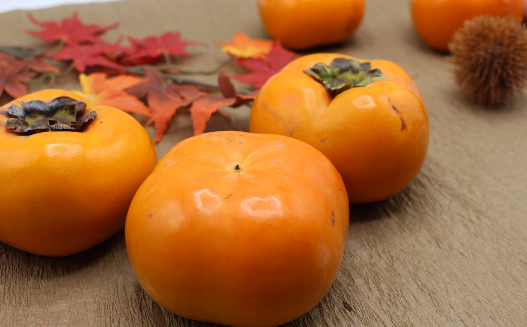 çŠå²¡çãã©ã³ãæ¿ãç§çãçŽ1.2kg 3Lãµã€ãº4çå
¥ãã2025幎10æäžæ¬ïœ11æäžæ¬çºéäºå®ãæ¿ ãã ã«ã ãã«ãŒã æç©