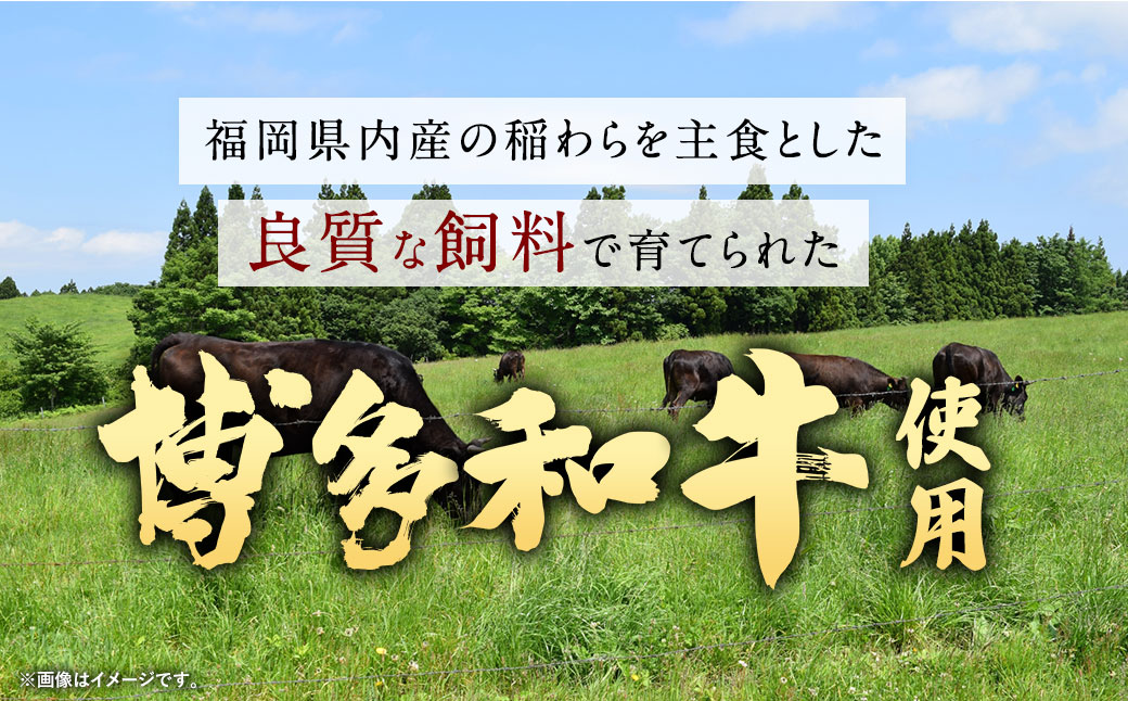 【9月30日で受付終了】【福岡県産博多和牛使用】博多和牛じっくり煮込んだビーフカレー レトルト 4人前