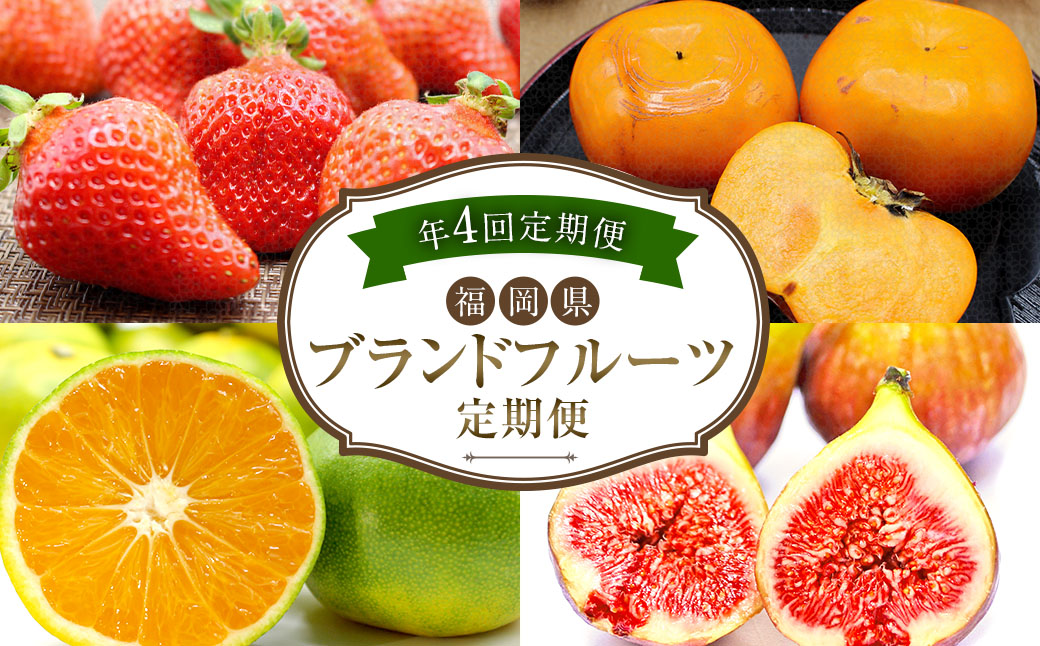 【4回定期便】福岡県 ブランドフルーツ 定期便 あまおう（約280g×4パック）とよみつひめ（約300g×4パック）早味かん（約3kg）秋王（約1.2kg）計6.52kg 果物 いちご 苺 イチゴ 無花果 いちじく イチジク みかん ミカン 蜜柑 柿 カキ かき
