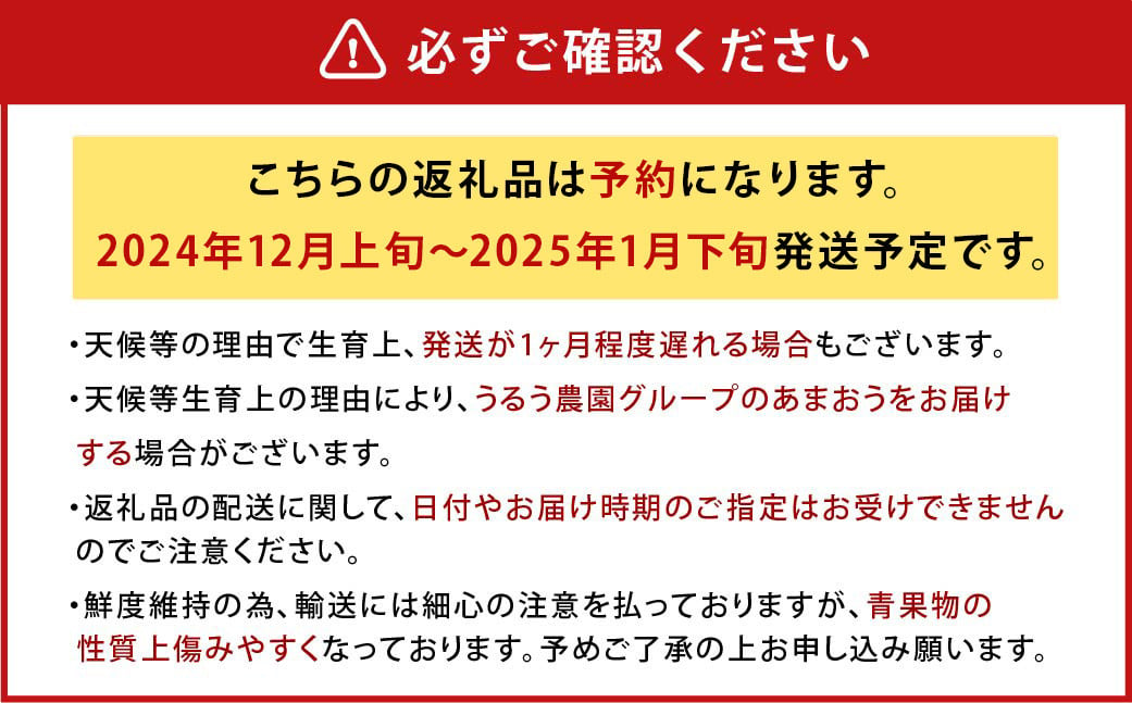 【アフター保証】うるう農園 あまおう DX等級 4パック （約1140g）【2024年12月上旬～2025年1月下旬発送予定】 いちご イチゴ 苺 フルーツ 果物