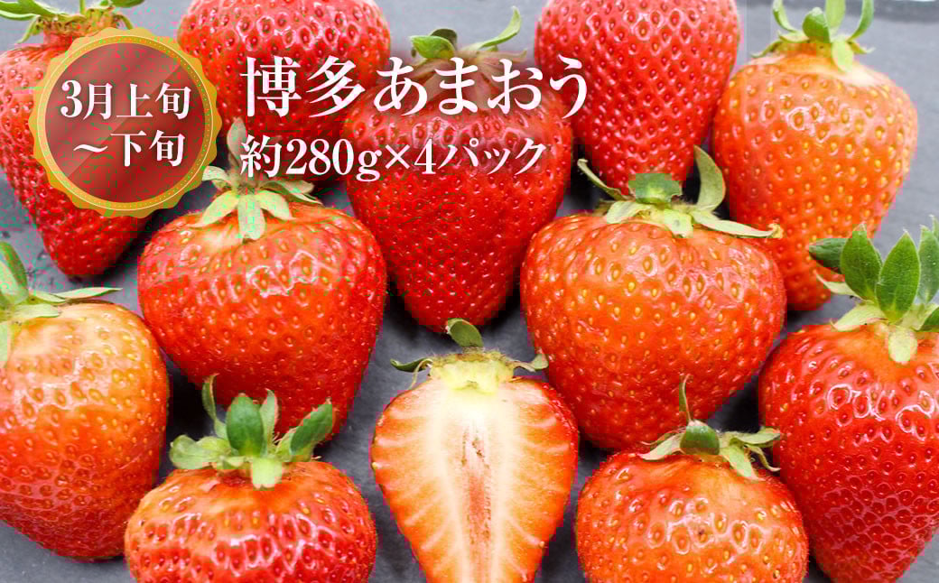 ã4åå®æäŸ¿ãçŠå²¡ç ãã©ã³ããã«ãŒã å®æäŸ¿ ããŸããïŒçŽ280gÃ4ããã¯ïŒãšãã¿ã€ã²ãïŒçŽ300gÃ4ããã¯ïŒæ©å³ããïŒçŽ3kgïŒç§çïŒçŽ1.2kgïŒèš6.52kg æç© ãã¡ã èº ã€ã㎠ç¡è±æ ãã¡ãã ã€ããžã¯ ã¿ãã ãã«ã³ èæ æ¿ ã«ã ãã