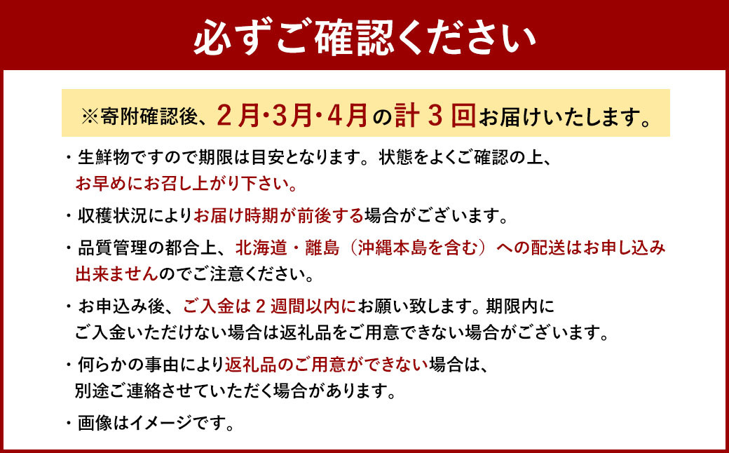 【3回定期便】博多 あまおう 2パック【2026年2月上旬～4月下旬発送予定】