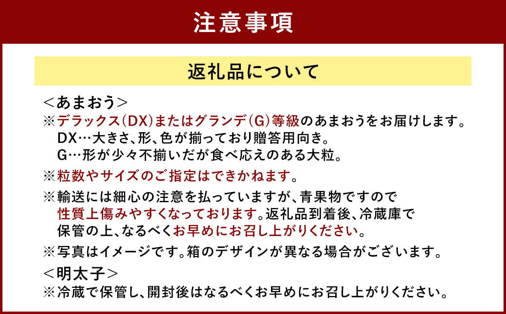 あまおう＆ふくや 味の明太子 290g セット 苺 いちご イチゴ めんたいこ セット【2024年12月上旬～2025年3月下旬発送予定】