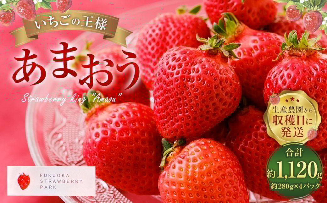 【1月～2月発送】いちごの王様 あまおう 約280g×4パック 約1120g【2026年1月上旬～2026年2月下旬発送予定】 いちご イチゴ 苺 フルーツ