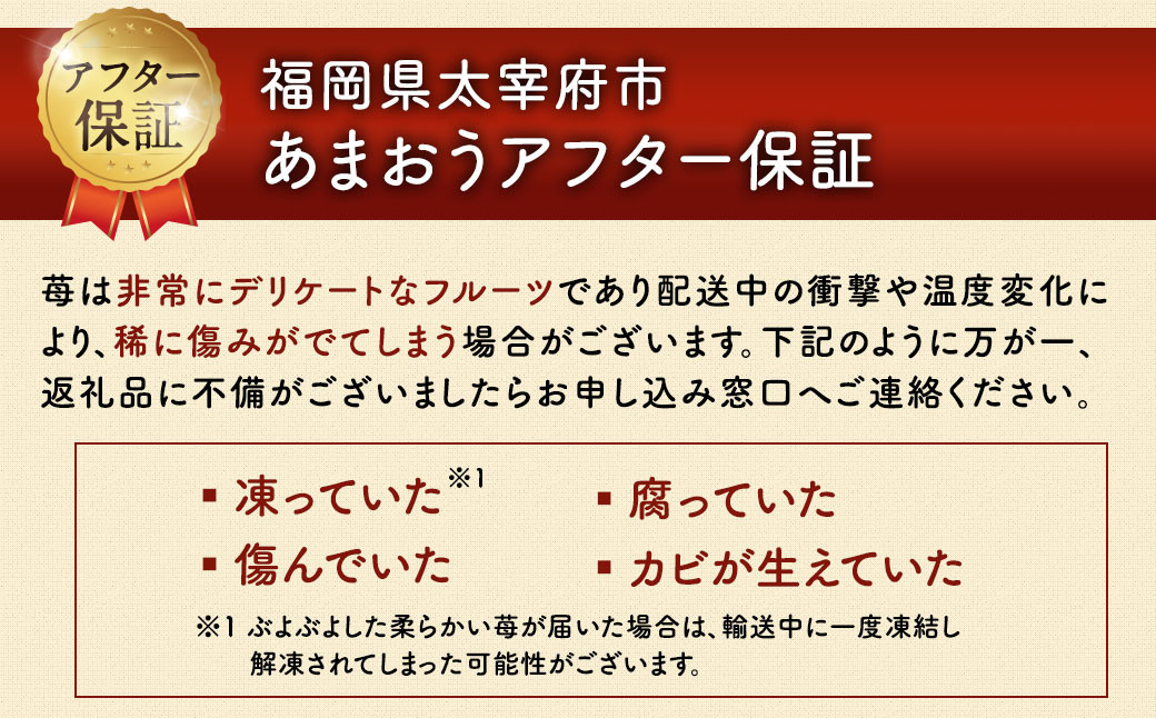 【アフター保証】贈答用 あまおう 約800g【2025年2月上旬～2025年4月上旬発送予定】 いちご イチゴ 苺 化粧箱入り