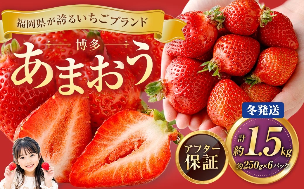 博多 あまおう 6パック（冬）【2026年12月上旬～2027年1月下旬発送予定】