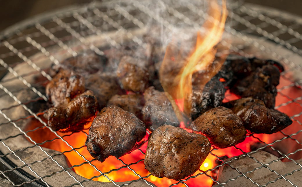 はかた地どり 炭火焼 セット 500g （ 100g ×5パック ） 焼き鳥 焼鳥 地鶏 鶏肉 とり肉 肉 お肉 鶏 炭火 冷凍 国産 福岡県産