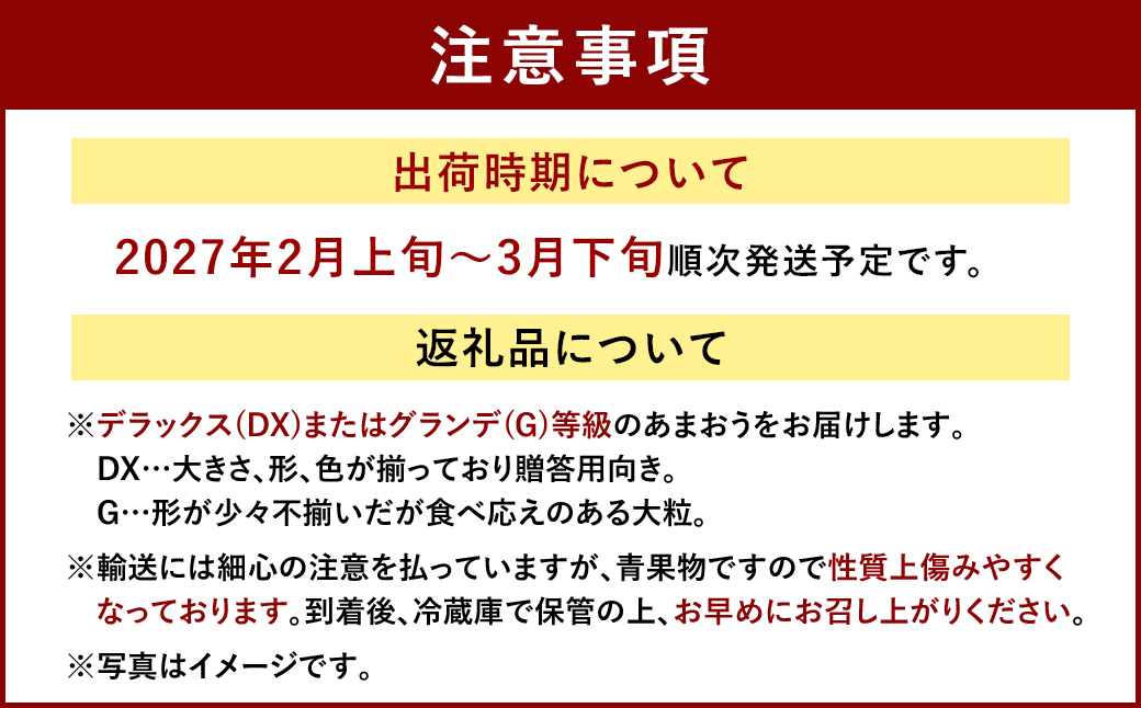  福岡産【春】フルーツ専門店が選んだ あまおう 6パック いちご 苺 果物 フルーツ 福岡 太宰府【2027年2月上旬～3月下旬発送予定】