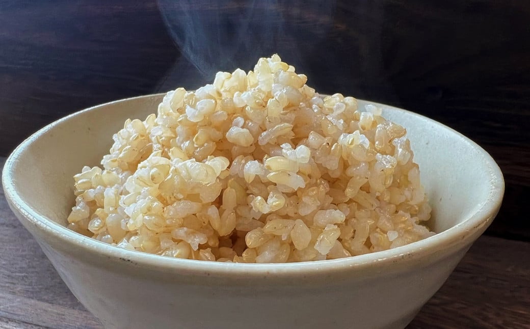 【令和7年産】福岡県産 【特A】評価のお米「元気つくし」5kg×2袋（10kg）玄米 お米 米