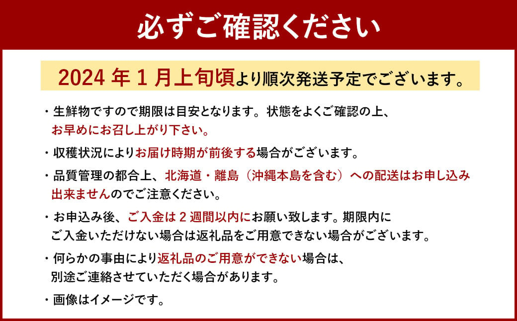 2024年1月上旬より順次発送】 博多あまおう 2パック（冬）|JALふるさと