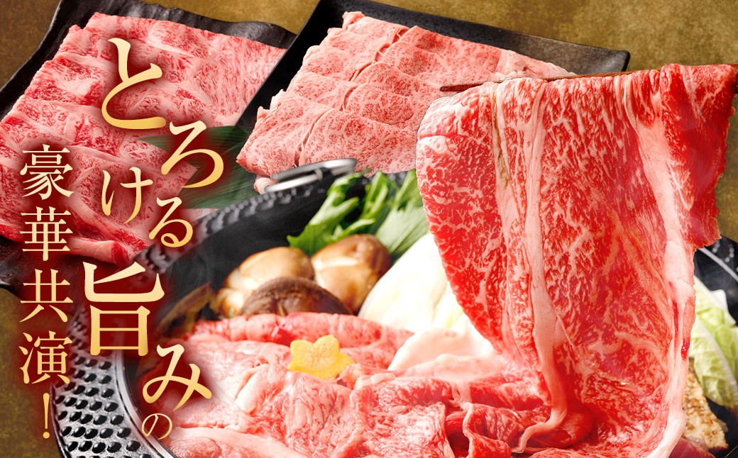 【食べ比べ】 佐賀牛 ＆ 博多和牛 リッチな霜降り 大判 切り落とし 2kg （500g×4） ／ 2種類 黒毛和牛 黒毛和種 和牛 牛肉 お肉 肉 霜降り 九州 福岡県 太宰府市 冷凍