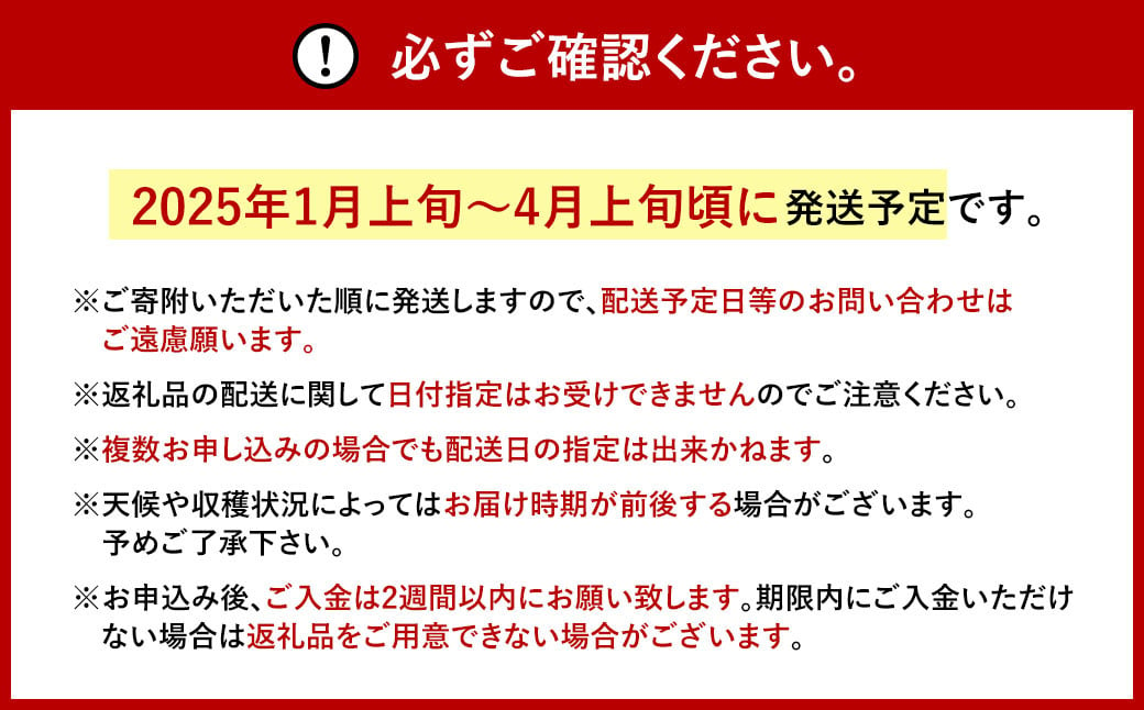 福岡県産 あまおう 約280g×6パック 合計1680g 果物 くだもの フルーツ 苺 いちご イチゴ ストロベリー デザート 福岡県 太宰府市【2025年1月上旬～4月上旬発送予定】