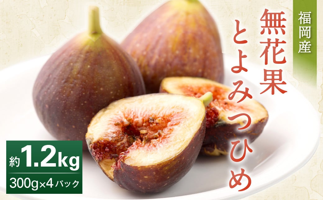 福岡県産 無花果 とよみつひめ 300g×4パック 合計1.2kg いちじく いちぢく フルーツ 果物 国産【2025年8月上旬～10月下旬発送予定】