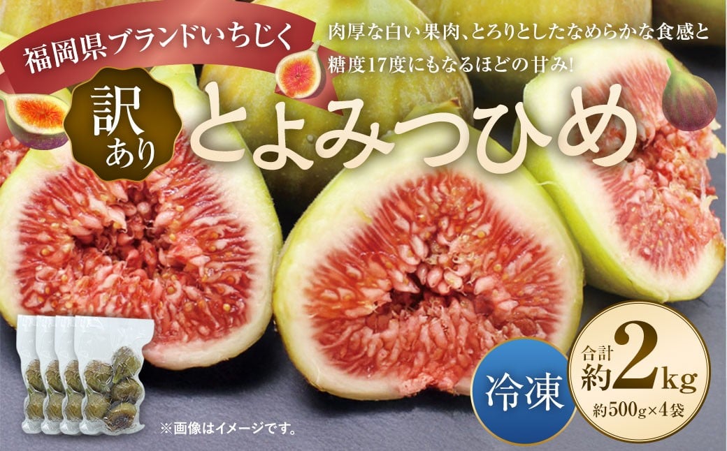 【訳あり】 冷凍いちじく 「とよみつひめ」 2kg （500g×4袋） ／   いちじく イチジク 果物 果実 フルーツ 冷凍フルーツ 冷凍