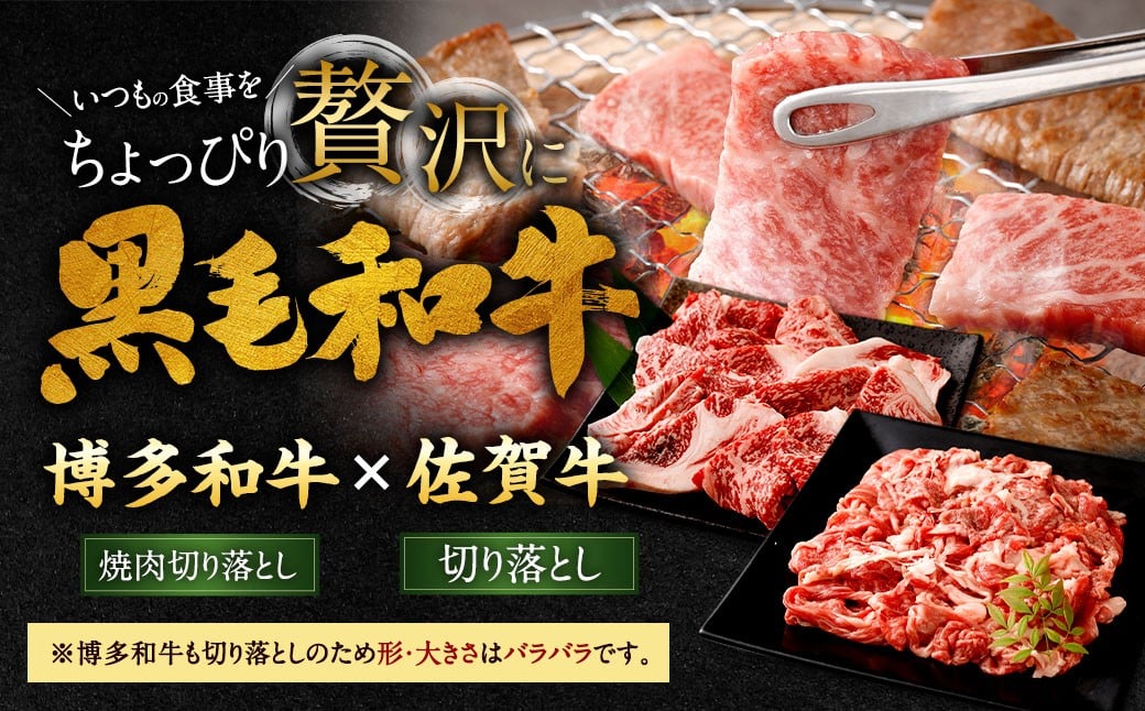 博多和牛 焼肉切り落とし 500g ＋ 佐賀牛 切り落とし 400g 計900g（計2パック） 牛 和牛 牛肉 お肉 肉 にく 切落し 赤身 肩肉 バラ肉 冷凍