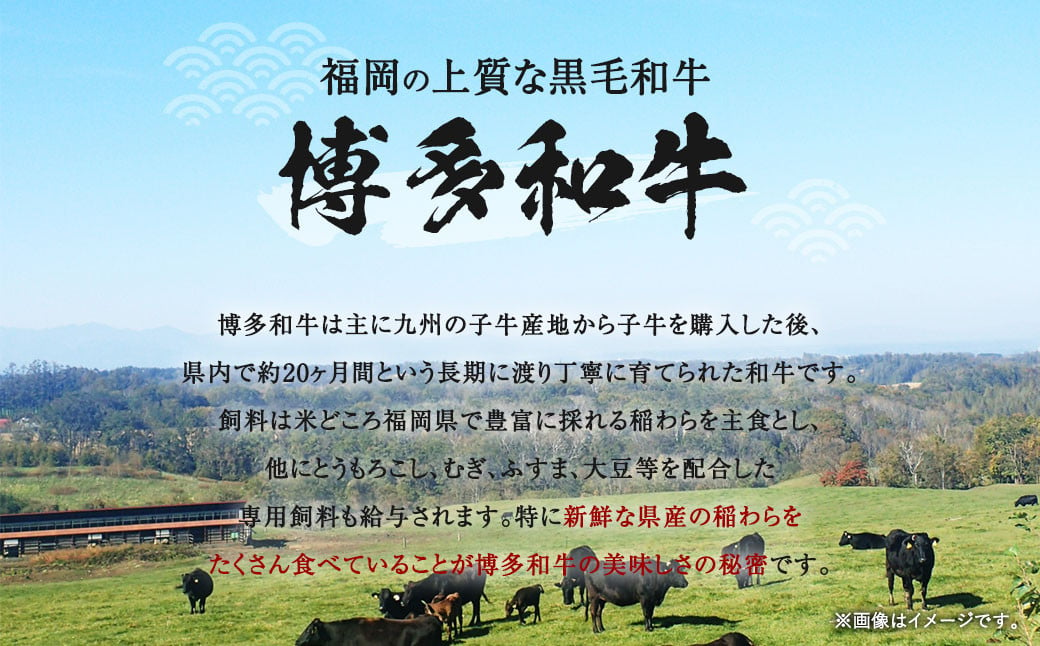 訳あり！ 博多和牛 切り落とし 1.5kg（500g×3パック）肉 和牛 牛肉 冷凍 福岡県産