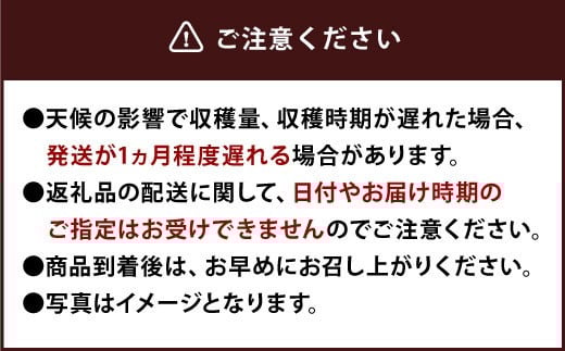縲千音蛻・譬ス蝓ケ縲代≧繧九≧霎イ蝨 蜀キ蜃阪≠縺セ縺翫≧ 1kg 縺ゅ∪縺翫≧ 繧、繝√ざ 縺縺。縺 闍コ 繝輔Ν繝シ繝 譫懃黄