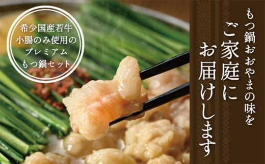 福岡 もつ 専門店 売上高 1位【 4ヶ月 定期便 】 博多 もつ鍋おおやま もつ鍋 みそ味 と しょうゆ味 各3人前 モツ 国産 冷凍