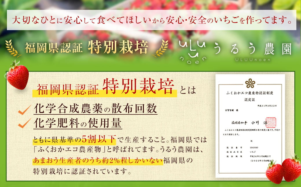 【特別栽培/有機質肥料/アフター保証】うるう農園 あまおう サイズ色々 4パック （約1140g）【2024年12月上旬～2025年1月下旬発送予定】 いちご イチゴ 苺 フルーツ 果物