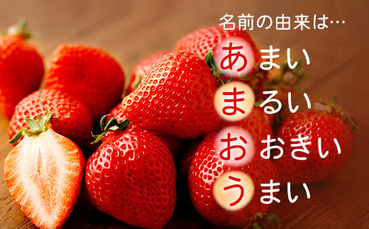 【アフター保証】贈答用 あまおう 約800g【2024年12月上旬～2025年1月下旬発送予定】 いちご イチゴ 苺 化粧箱入り