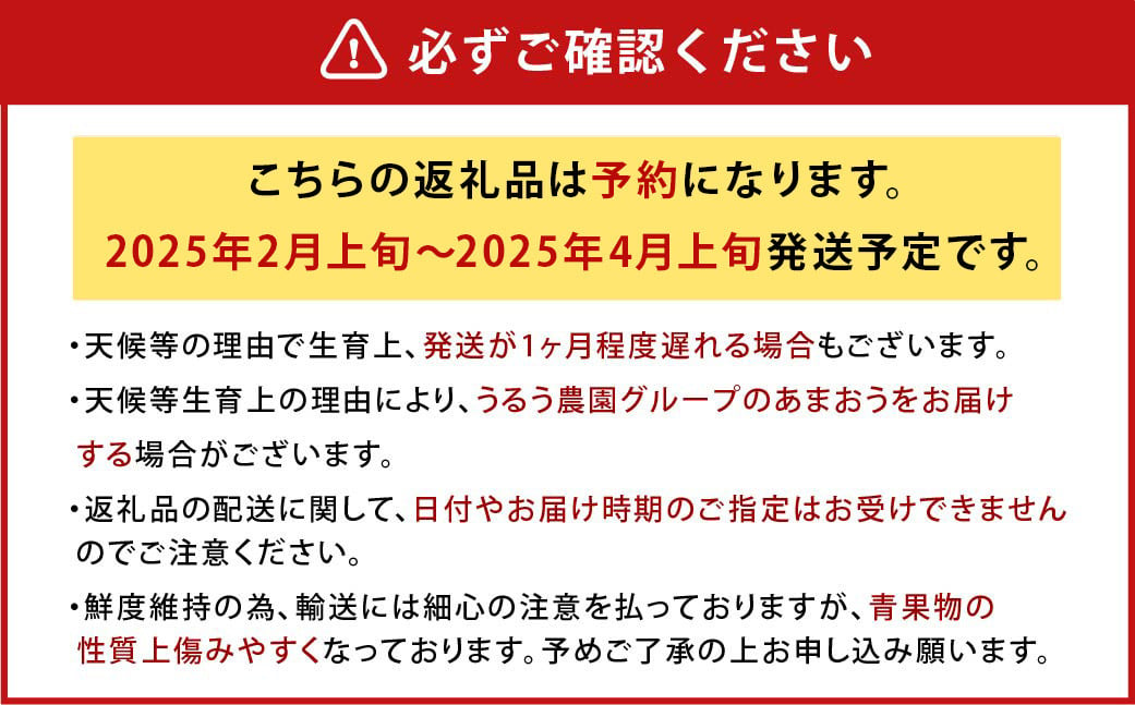 【アフター保証】うるう農園 あまおう DX等級 4パック （約1140g）【2025年2月上旬～2025年4月上旬発送予定】 いちご イチゴ 苺 フルーツ 果物