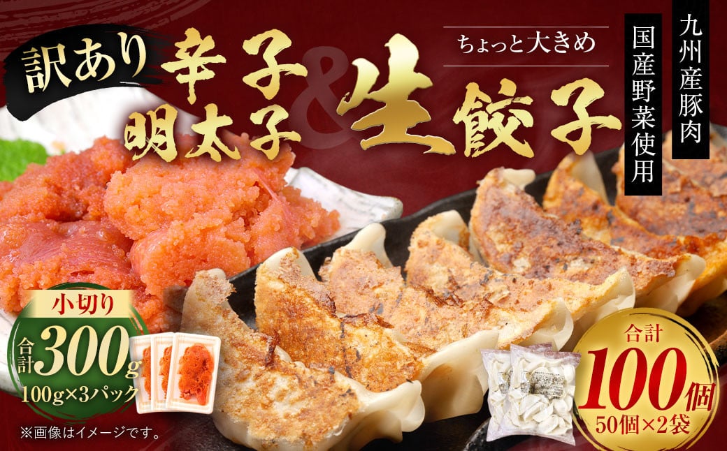 訳あり！ちょっと大きめ 国産 生餃子 (ラー麦使用) 100個 2kg ＆ 辛子