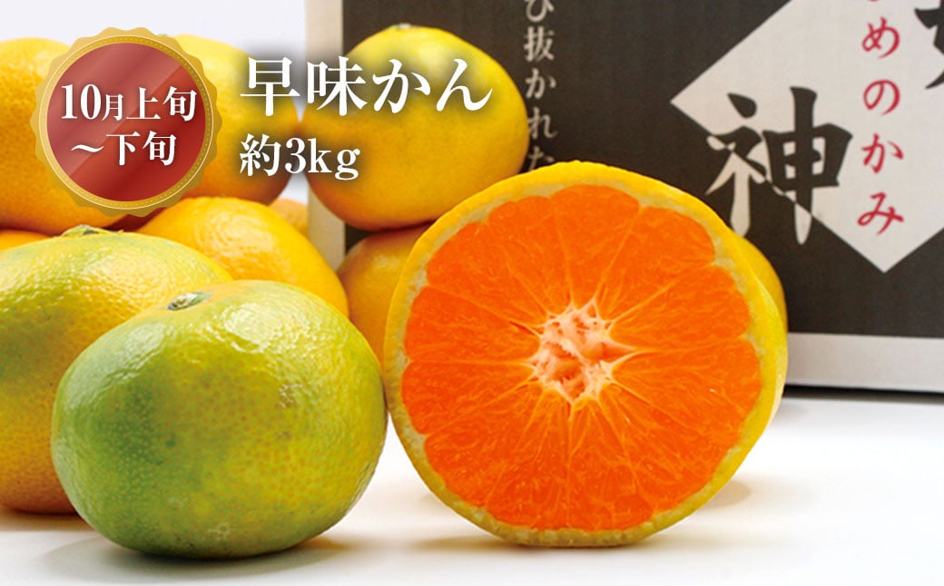 ã4åå®æäŸ¿ãçŠå²¡ç ãã©ã³ããã«ãŒã å®æäŸ¿ ããŸããïŒçŽ280gÃ4ããã¯ïŒãšãã¿ã€ã²ãïŒçŽ300gÃ4ããã¯ïŒæ©å³ããïŒçŽ3kgïŒç§çïŒçŽ1.2kgïŒèš6.52kg æç© ãã¡ã èº ã€ã㎠ç¡è±æ ãã¡ãã ã€ããžã¯ ã¿ãã ãã«ã³ èæ æ¿ ã«ã ãã