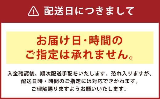 【9月30日で受付終了】【一蘭】天然とんこつラーメン 専門店の逸品 一蘭ラーメン 博多細麺 セット 5食×2セット 合計10食