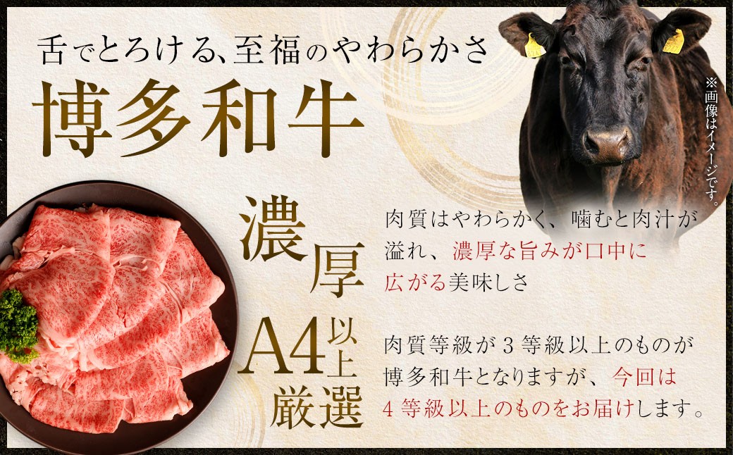 【食べ比べ】 佐賀牛 ＆ 博多和牛 リッチな霜降り 大判 切り落とし 1kg （500g×2） ／ 2種類 黒毛和牛 黒毛和種 和牛 牛肉 お肉 肉 霜降り 九州 福岡県 太宰府市 冷凍
