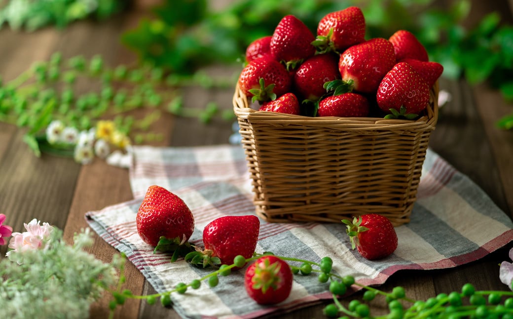 çŠå²¡ç£ãæ¥ããã«ãŒãå°éåºãéžãã ããŸãã 6ãã㯠ãã¡ã èº æç© ãã«ãŒã çŠå²¡ 倪宰åºã2026幎2æäžæ¬ïœ3æäžæ¬çºéäºå®ã