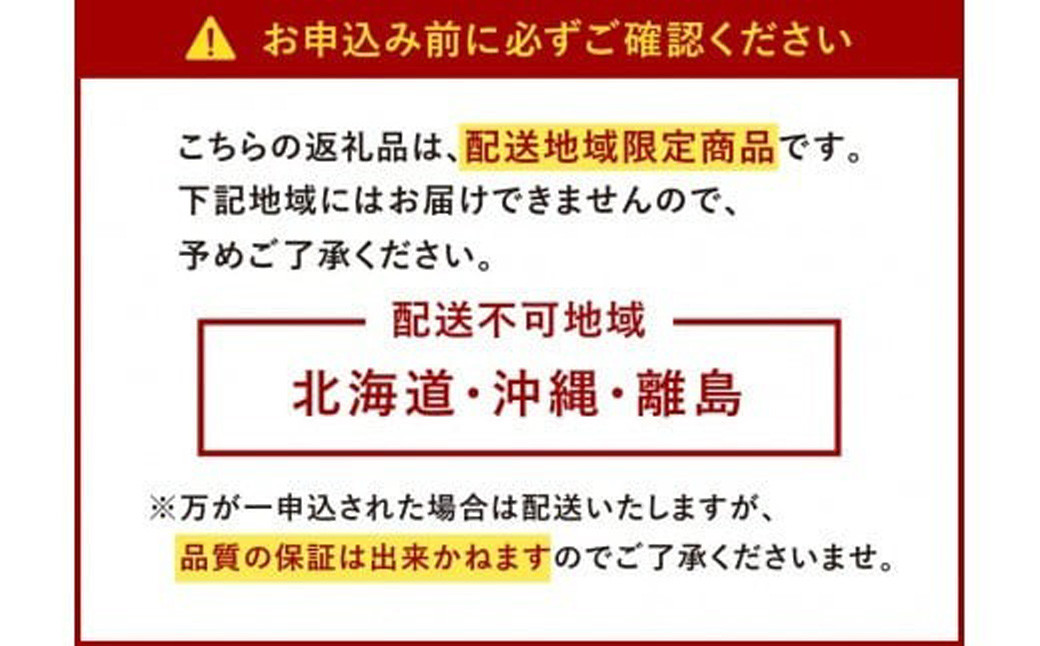 博多 あまおう 6パック（冬）【2025年12月上旬～2026年1月下旬発送予定】