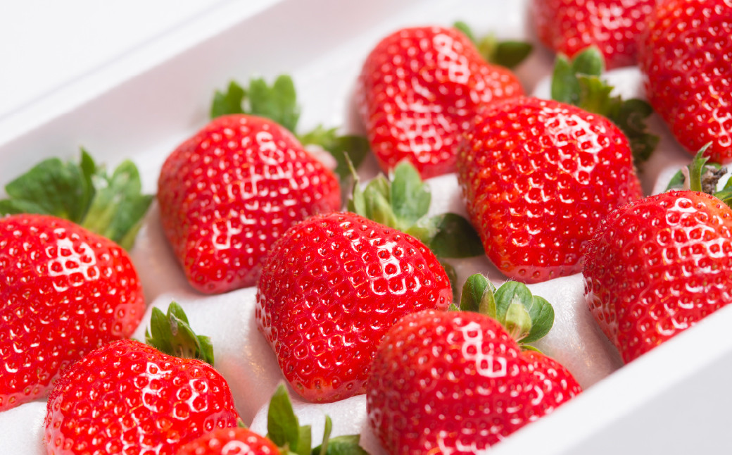 çŠå²¡çç£ ããŸãã ã®ããç®± 12-15ç² çŽ300g ãã¡ã èº ãã«ãŒã åœç£ã2025幎12æäžæ¬ïœ2026幎3æäžæ¬çºéäºå®ã