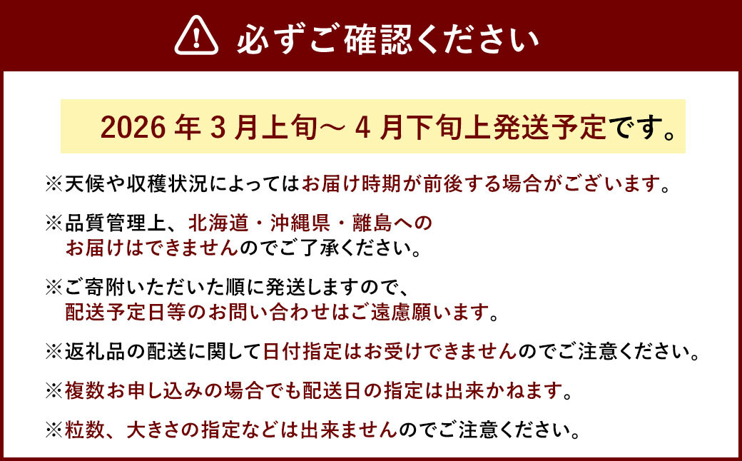 春のあまおう （2L・2A・G規格以上 6パック）【数量限定】【2026年3月上旬～4月下旬発送予定】あまおう いちご イチゴ 苺 フルーツ 果物