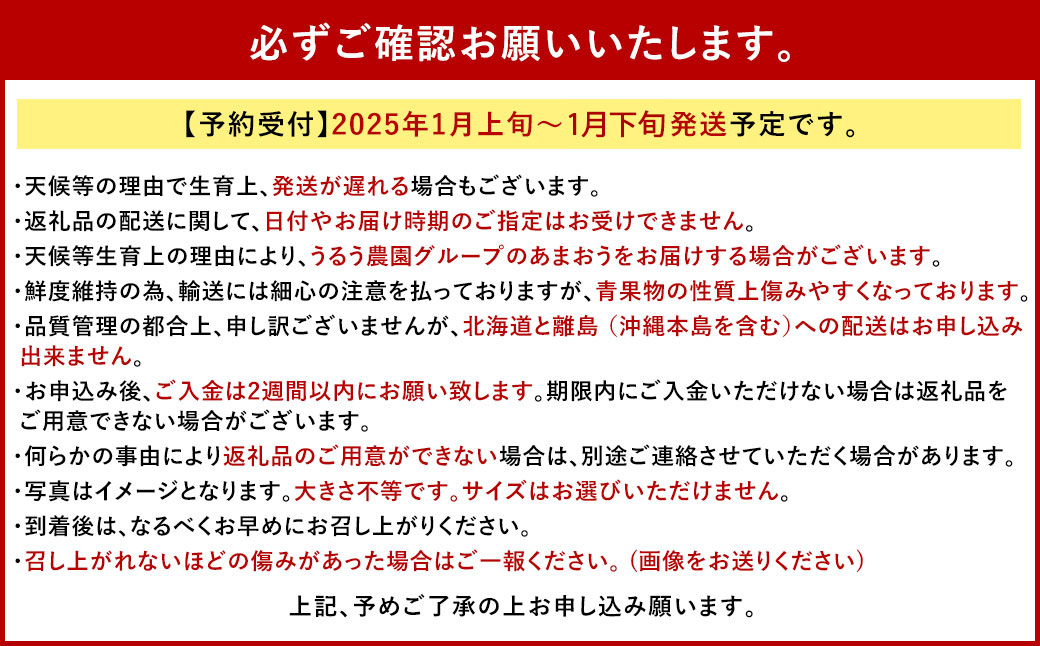 【特別栽培/有機質肥料/アフター保証】うるう農園 あまおう サイズ色々 6パック（約1710g）【2025年1月上旬～1月下旬発送予定】いちご イチゴ 苺 フルーツ 果物