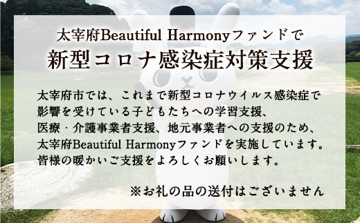 【返礼品なし】Beautiful Harmonyファンド 新型コロナ感染症対策支援
