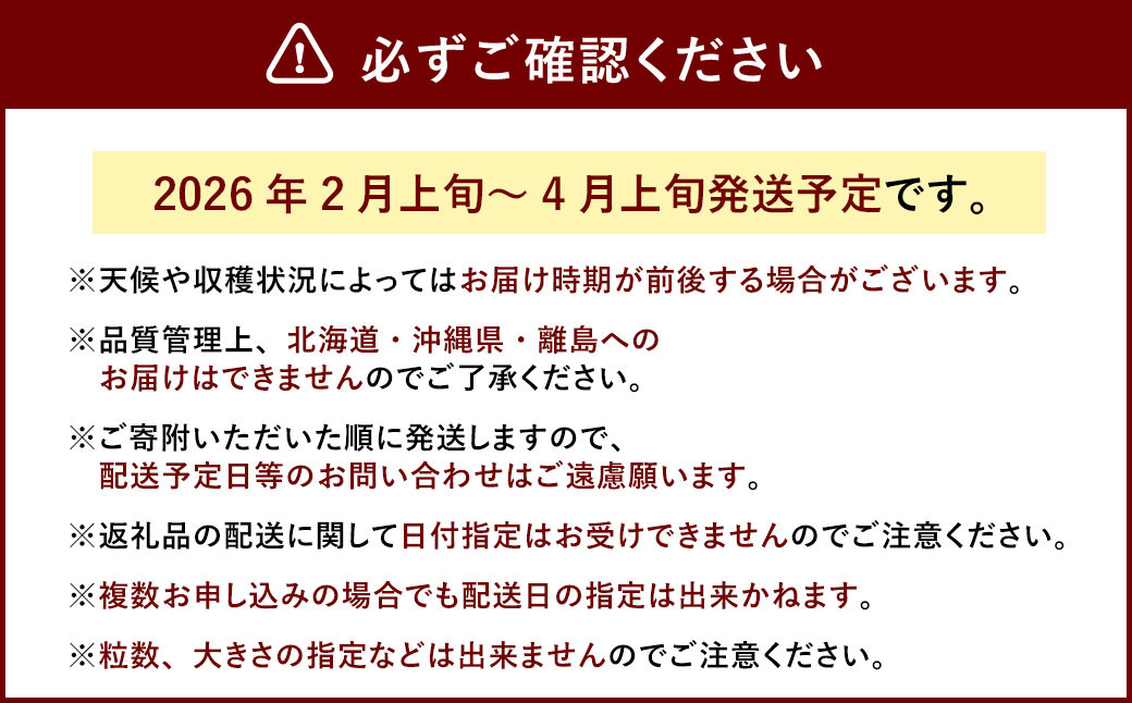 あまおう DX 約280g × 2パック 合計約560g【2026年2月上旬～4月上旬発送予定】