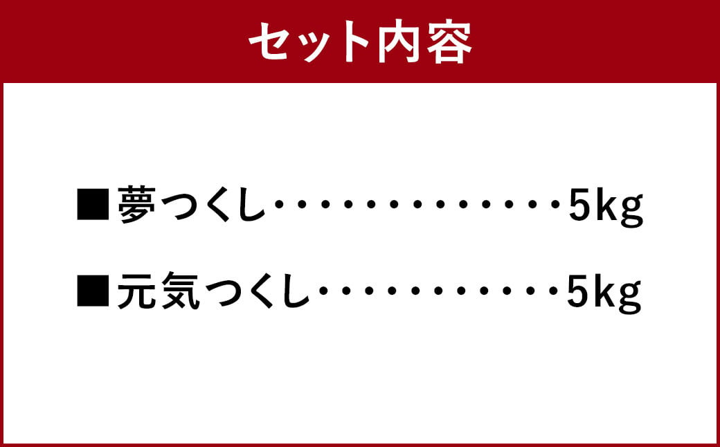 【令和6年産】 福岡の美味しいお米 夢つくし ＆ 元気つくし 各5kg 合計10kg 精米 お米 米 ブランド米 福岡県産 国産