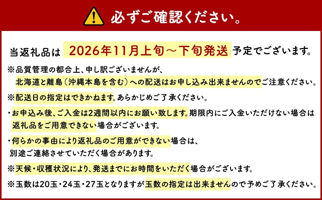 博多 甘うぃ (キウイフルーツ)  約3.6kg キウイ フルーツ 果物 くだもの【2026年11月上旬～11月下旬発送予定】