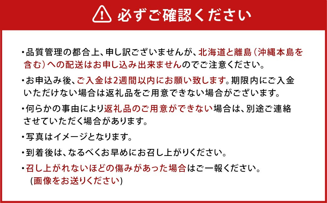 【アフター保証】贈答用 あまおう 約800g【2024年12月上旬～2025年1月下旬発送予定】 いちご イチゴ 苺 化粧箱入り