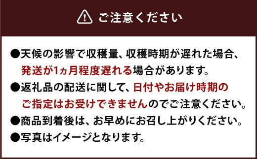 【特別栽培】うるう農園 冷凍あまおう 2kg 【2025年2月上旬より発送開始】あまおう イチゴ いちご 苺 フルーツ 果物