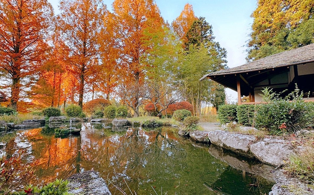 倪宰åºãŽã«ãå¶æ¥œéš ãŽã«ãå©çšåž 18,000åå ïŒ ãŽã«ã ãŽã«ãå Ž ãŽã«ãå Žå©çšåž ãã±ãã åž ãŽã«ããã¬ãŒ ã¹ããŒã ä¹å· çŠå²¡ç 倪宰åºåž