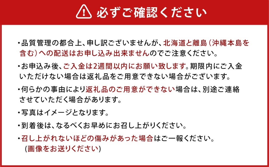 【アフター保証】うるう農園 あまおう DX等級 4パック （約1140g）【2024年12月上旬～2025年1月下旬発送予定】 いちご イチゴ 苺 フルーツ 果物