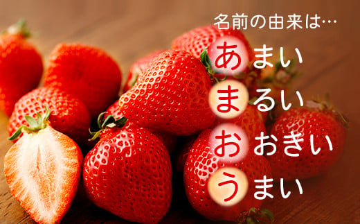 【アフター保証】うるう農園 あまおう DX等級 2パック （約570g）【2025年2月上旬～2025年4月上旬発送予定】 いちご イチゴ 苺 フルーツ 果物
