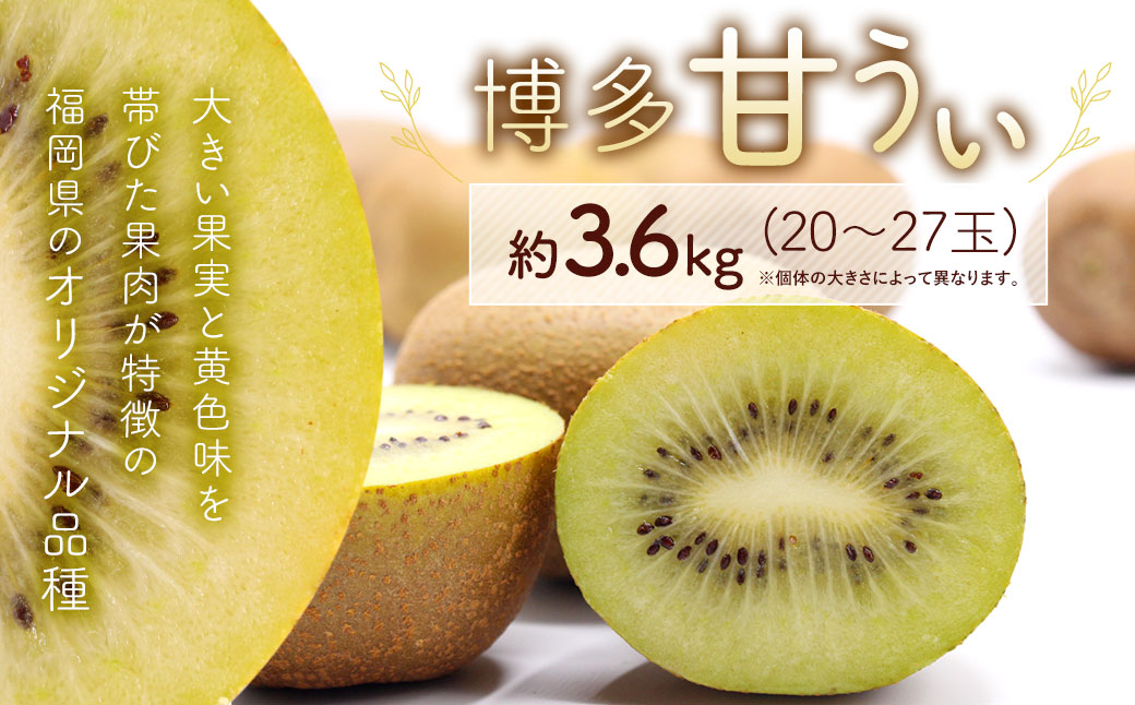 【2023年11月上旬より順次発送】 博多 甘うぃ (キウイフルーツ)  約3.6kg キウイ フルーツ 果物 くだもの