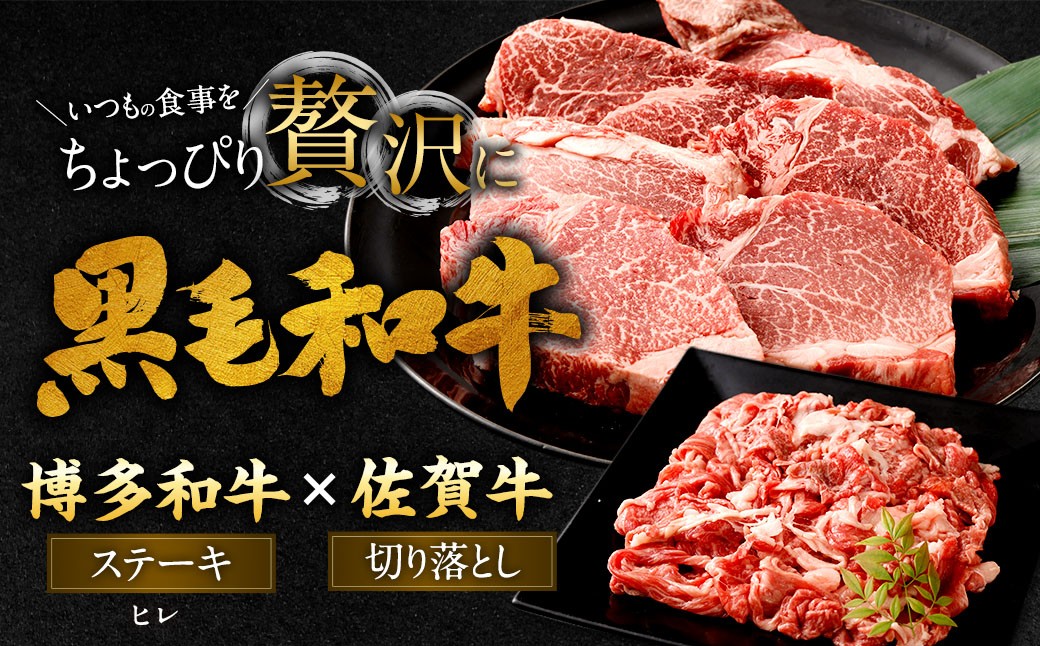 博多和牛 ステーキ （ヒレ） 6枚 （計約900g） ＋ 佐賀牛 切り落とし 400g ／ 黒毛和牛 黒毛和種 和牛 牛肉 お肉 肉 ヒレ肉 セット 国産 九州 福岡県 太宰府市 冷凍