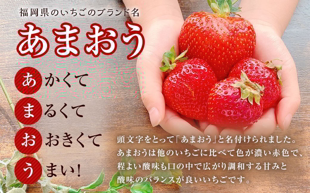 【特別栽培/有機質肥料/アフター保証】うるう農園 あまおう サイズ色々 4パック （約1140g）【2026年3月上旬～2026年4月上旬発送予定】 いちご イチゴ 苺 フルーツ 果物