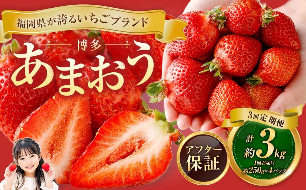 【3回定期便】博多 あまおう 4パック【2027年2月上旬～2027年4月下旬発送予定】