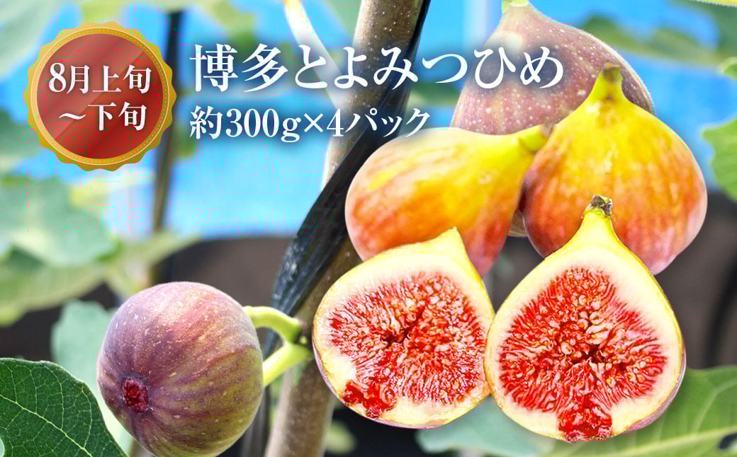 ã4åå®æäŸ¿ãçŠå²¡ç ãã©ã³ããã«ãŒã å®æäŸ¿ ããŸããïŒçŽ280gÃ4ããã¯ïŒãšãã¿ã€ã²ãïŒçŽ300gÃ4ããã¯ïŒæ©å³ããïŒçŽ3kgïŒç§çïŒçŽ1.2kgïŒèš6.52kg æç© ãã¡ã èº ã€ã㎠ç¡è±æ ãã¡ãã ã€ããžã¯ ã¿ãã ãã«ã³ èæ æ¿ ã«ã ãã