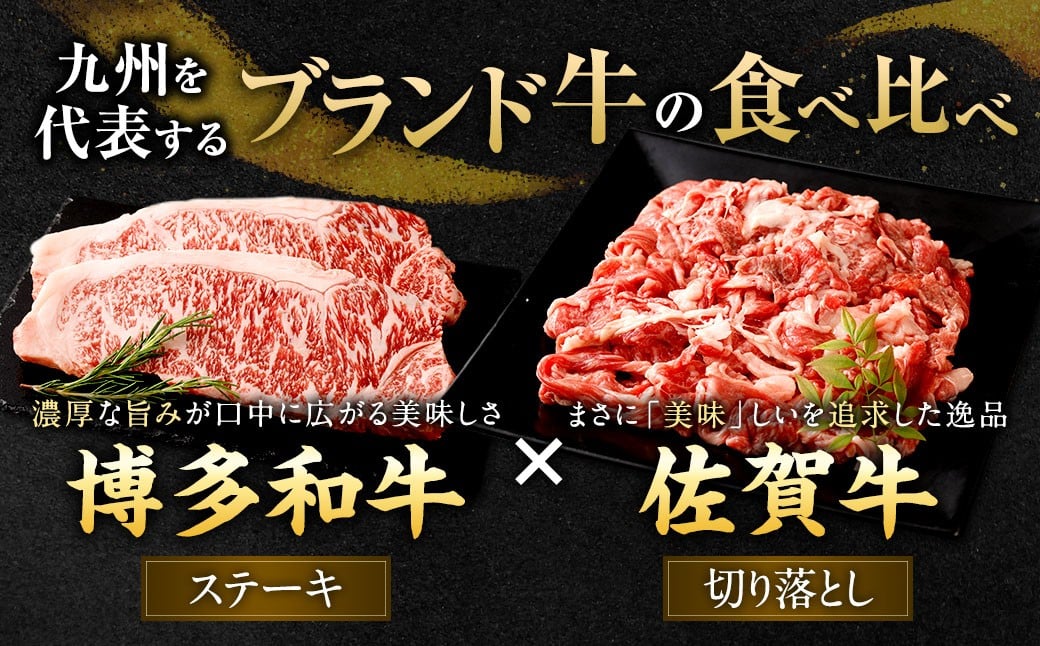 博多和牛 ステーキ （サーロイン） 4枚 （計約1kg） ＋ 佐賀牛 切り落とし 400g ／ 黒毛和牛 黒毛和種 和牛 牛肉 お肉 肉 サーロイン肉 セット 国産 九州 福岡県 太宰府市 冷凍