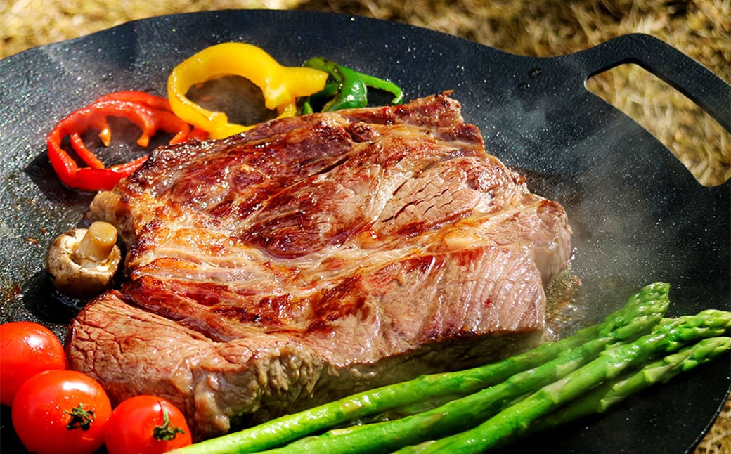 鉄板マルチグリドル 33cm （フラットタイプ） ／ 収納ケース付き マルチグリドル マルチグリドルパン グリルパン マルチグリル 丸形 鉄板 グリルプレート 福岡県 太宰府市